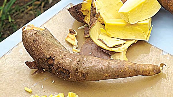 Vitamin-A-Cassava
