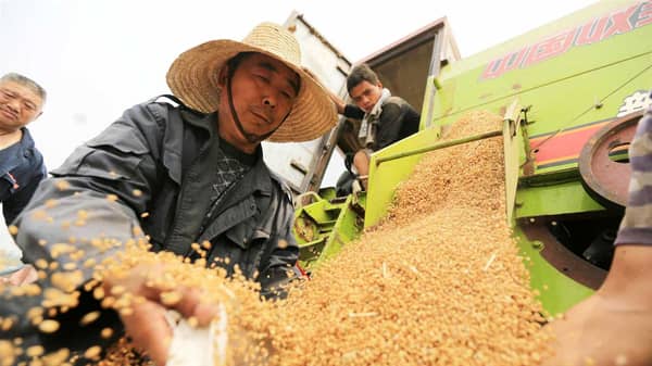 global-food-security