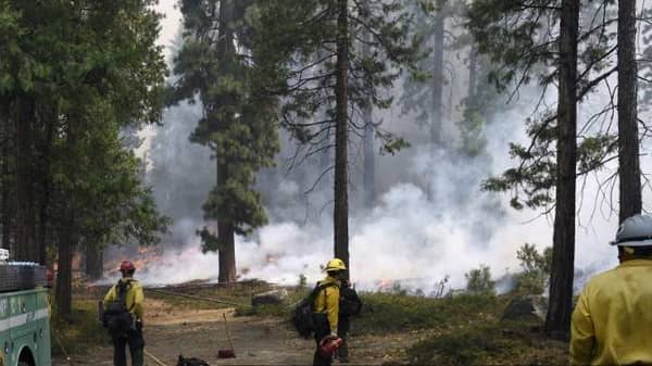 Wildfire in Yosemite National Park