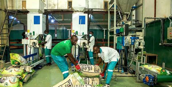 Tiamin-Rice-Milling-Company