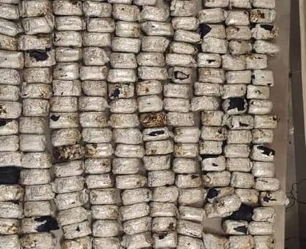 WhatsApp-Image-2022-08-14-at-1.33.01-PM-461×375