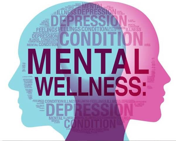 B81C42C2-EDE0-48F2-907D-D9B856E91C42