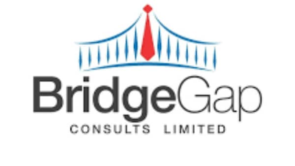 BridgeGap-Consults-Limited