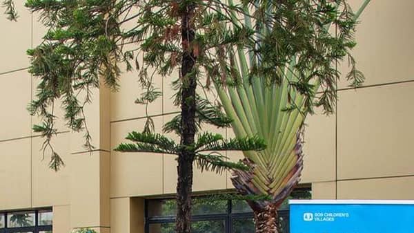 SOS Children’s Village