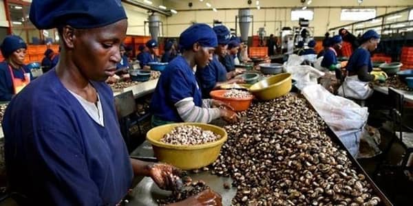 qUYktkpTURBXy9iMWFlMGExOWVmNGRlZGNjZTY3YzQwYWYzMTk2YWE5OC5qcGeSlQMAFM0CHM0BL5MFzQKAzQFA