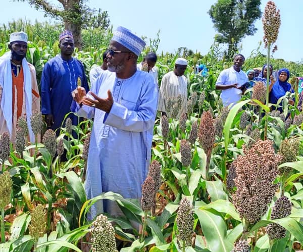 BC88B02A-4A02-4268-A270-BDD279F5B6C6