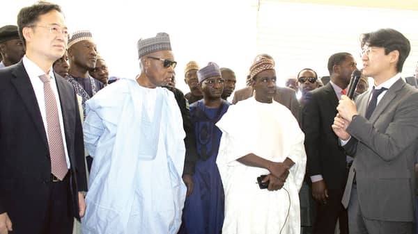 Masari and Koreazzzzz