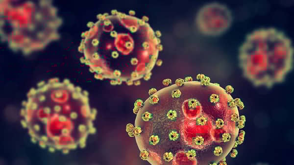 lassa_shutterstock_1110267614_h2