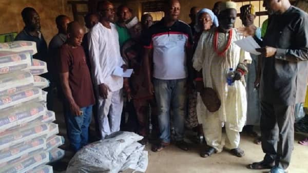 oil-palm-890x395_c copy