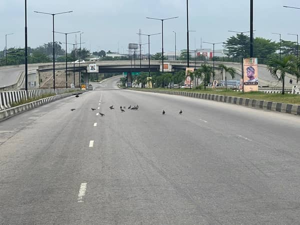 WhatsApp Image 2023-03-18 at 8.08.58 AM (1)