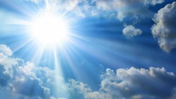 images – 2023-03-11T071043.901