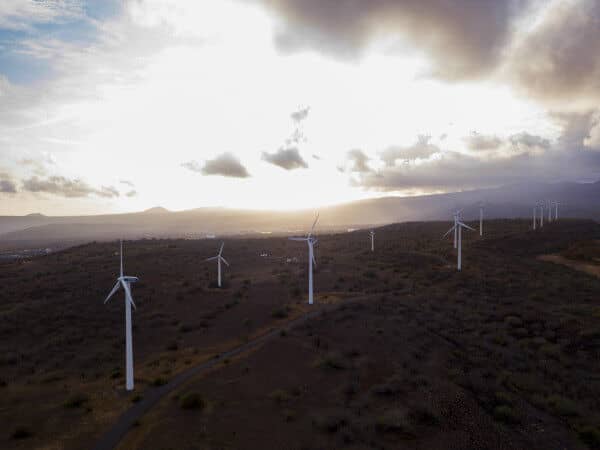 United Nations (UN) Cites African Development Bank as a World Model in Climate-Adaptation Finance