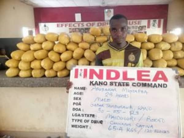 IMG-20230604-WA0021-300×225