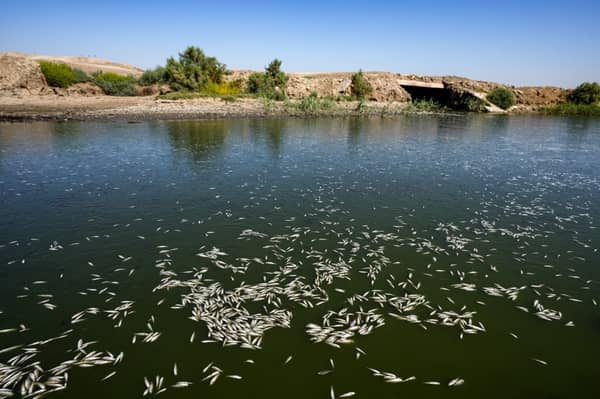IRAQ-ENVIRONMENT-WATER-RIVER-CLIMATE-DROUGHT