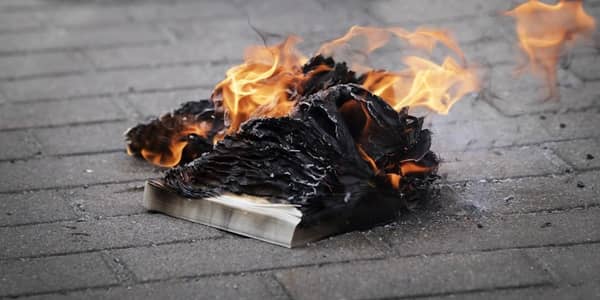 8ad3e2d3-9cf1-46f5-93aa-7e1b989ff426_0