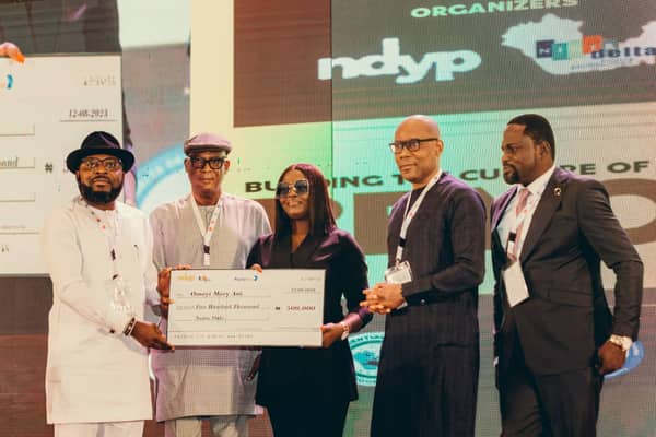 Niger Delta Youth Professionals