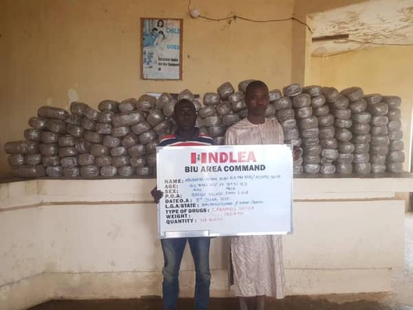 image_750x_647ca69c2bf23