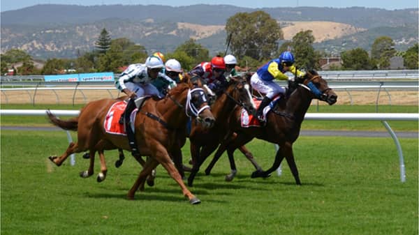 Bangalore Race Course 1