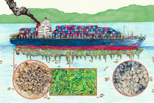 WhatsApp Image 2023-10-31 at 3.27.53 PM