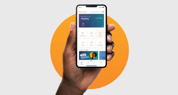 tingopayLauch.7f86bdd7af31b83b5e14