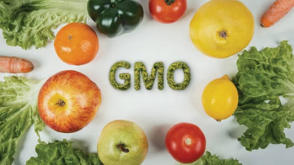 GMOs