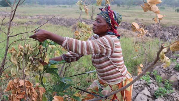 A female farmer