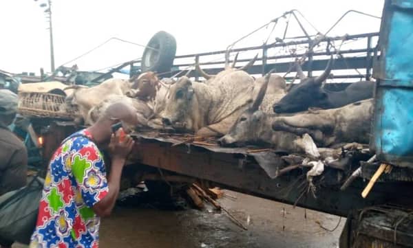 Lagos -Ibadan Expressway multiple accident