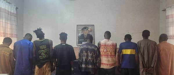 d4c44564-ff33-43ba-87fd-18f596f1923e