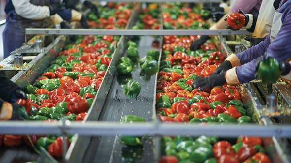 Hands-on on the factory floor