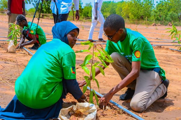 Campus-Green-Belt-Tree-Planting-Reforestation-5