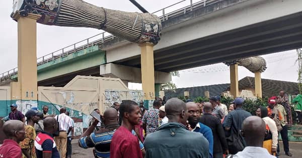 RqBktkpTURBXy80OGE0YWRiNzNhZTdhYzQxY2MwNzI2MjBjZDgzOGQwYS5qcGeSlQMALs0DM80BzJMFzQSwzQJ2