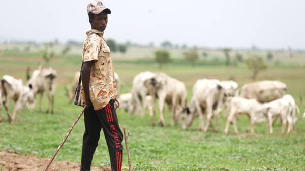 Old wounds, new conflict on Nigeria’s troubled grazing reserves