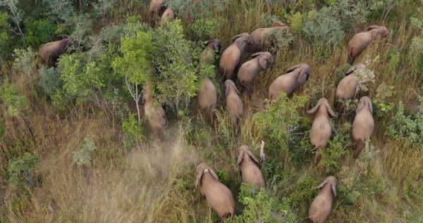 Emmanuel_Master_v2_Clean.00_02_23_10.Still006