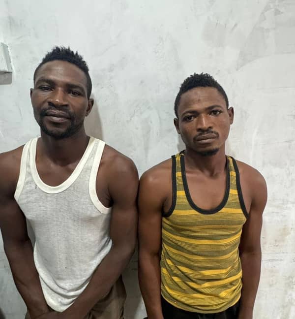 IMG-20240825-WA0003~2