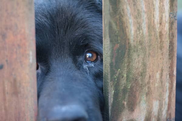 June-Wk1-OVRS-shutterstock_757169359