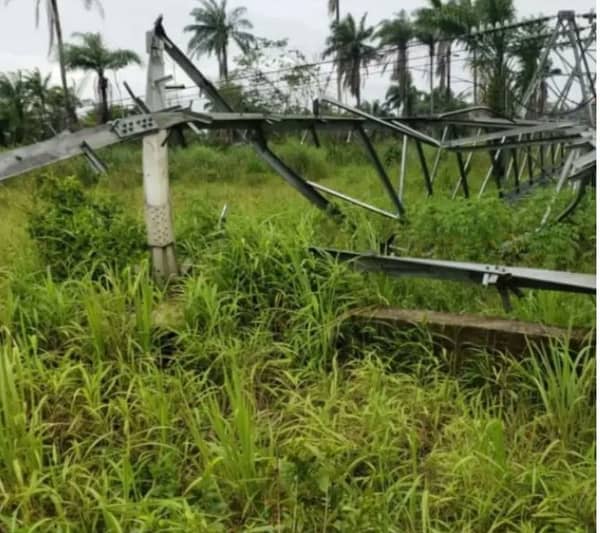 Screenshot_20240815-093231~2