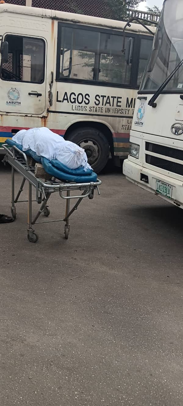 WhatsApp Image 2024-08-29 at 19.41.55_cadc6594