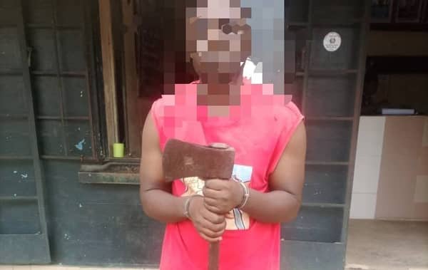 20240911_112017-744×470