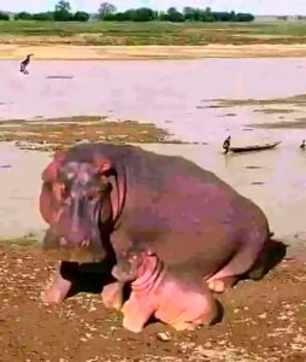 IMG-20240922-WA0272_1727040125532-254×300