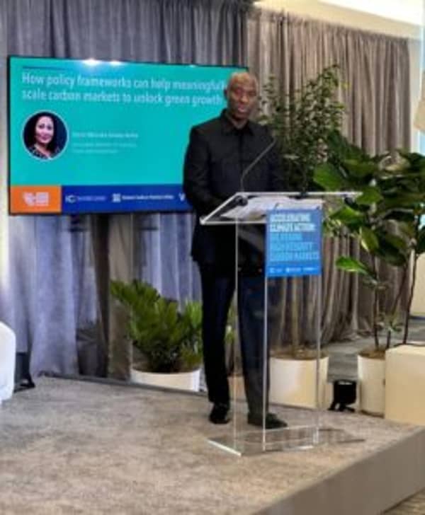 Screenshot_20240926_192344_WhatsApp-247×300