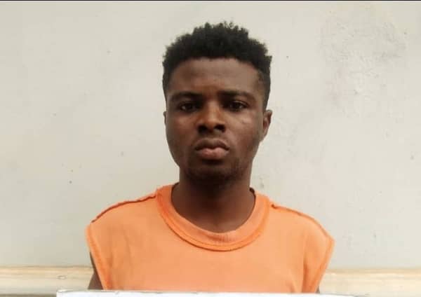 WhatsApp Image 2024-09-10 at 14.33.29_8cc16382