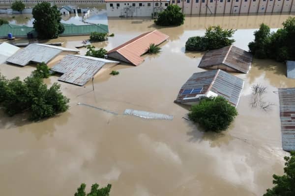 maiduguri-flood-5