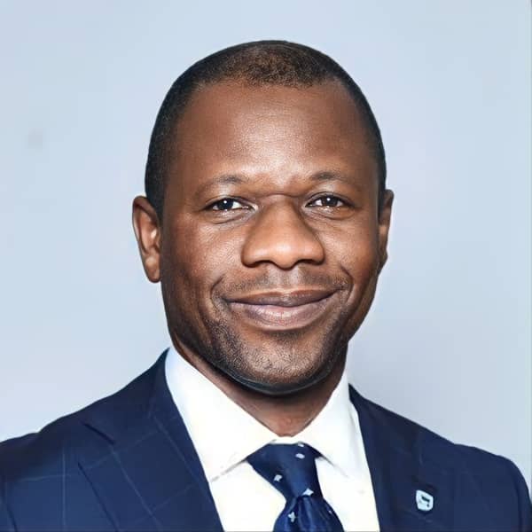 Chief Executive Officer of Stanbic IBTC Bank, Wole Adeniyi