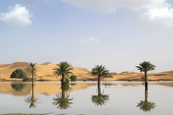 Palm-trees-are-reflected-in-a-lake-caused-by-heavy-rainfall-in-the-desert-town-of-Merzouga-near-Rachidia-southeastern-Morocco-Wednesday-Oct.-2-2024.-AP-Photo