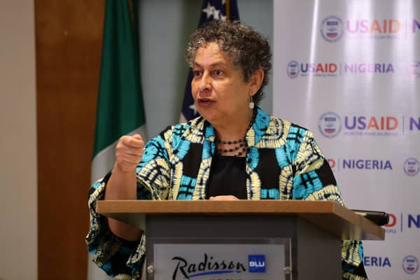 USAID Mission Director Melissa Jones delivering remarks during the workshop in Lagos