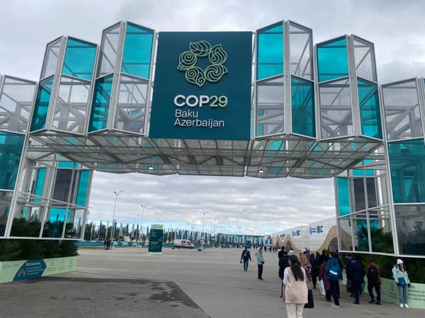 COP29