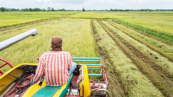A-tractor-working-on-a-plantation