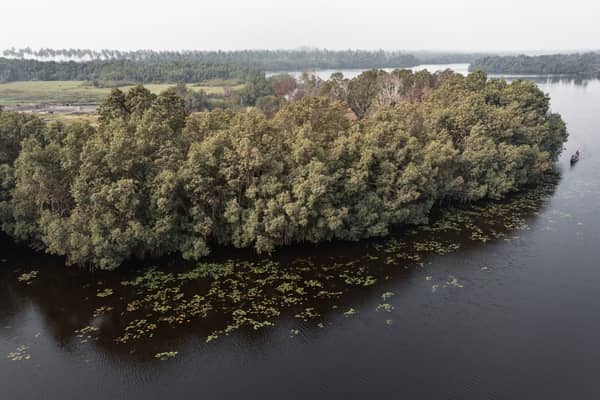 BENIN-ENVIRONMENT-MANGROVES-RELIGION