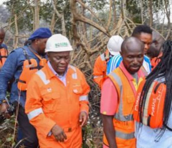 IMG-20250118-WA0019-280×241