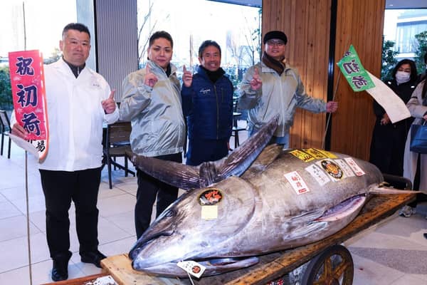 New Year’s fish auction